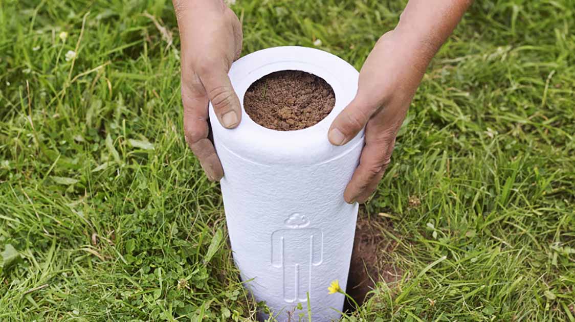 Memorial Fruit tree with plaque and biodegradable urn.